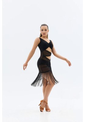 Latin Dance Dress LD-1453 ruviso-dancewear.com